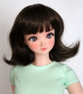 Flippy Wig with Bangs size 8, Dark Brown