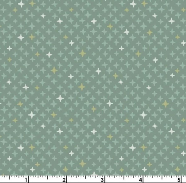 Saguaro Shining Stars in Sage for Maywood Studio, Southwest Themed Fabric 1/4 yard